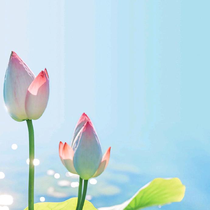 🍀顺意自在