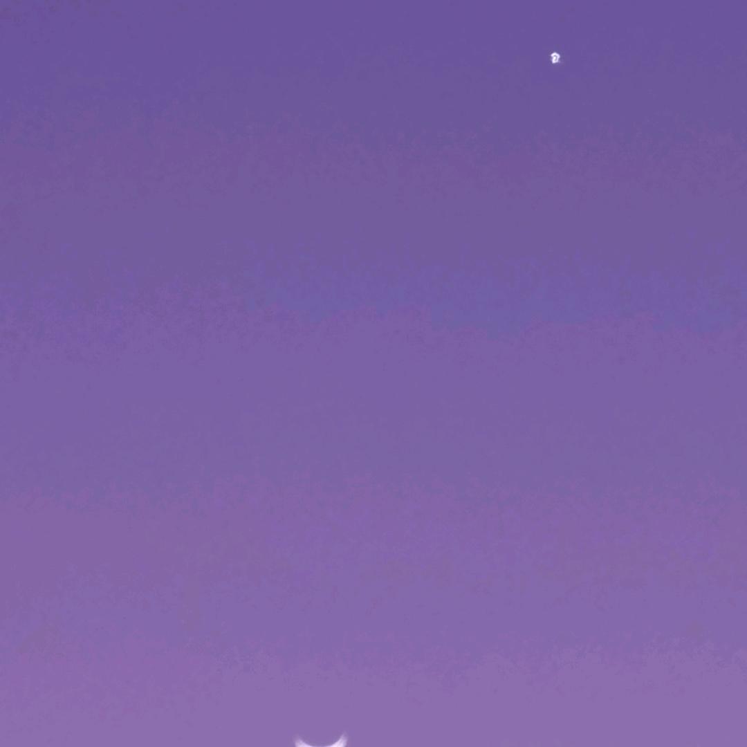 w@薇