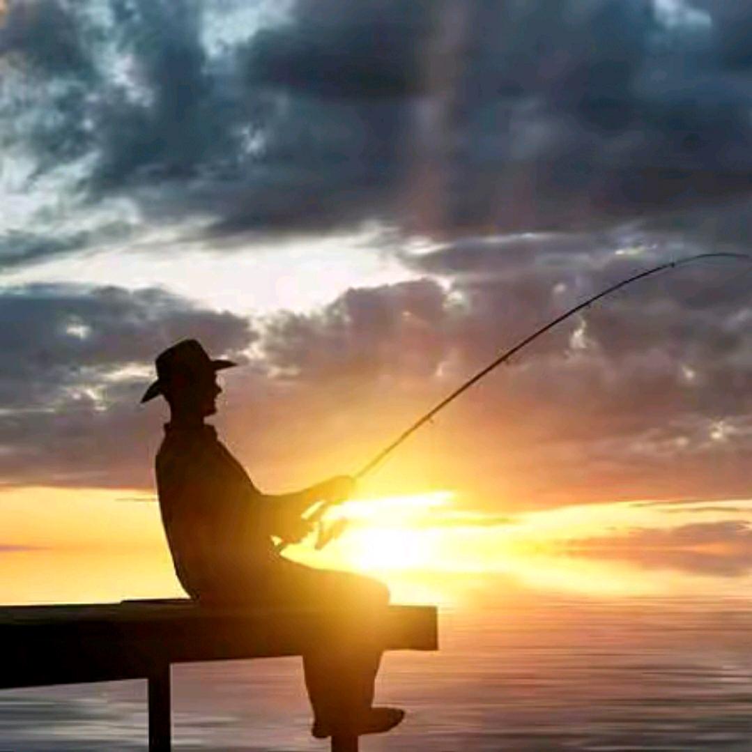 老张是个钓鱼佬