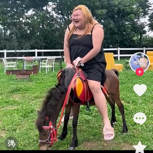 风雪压我两三年