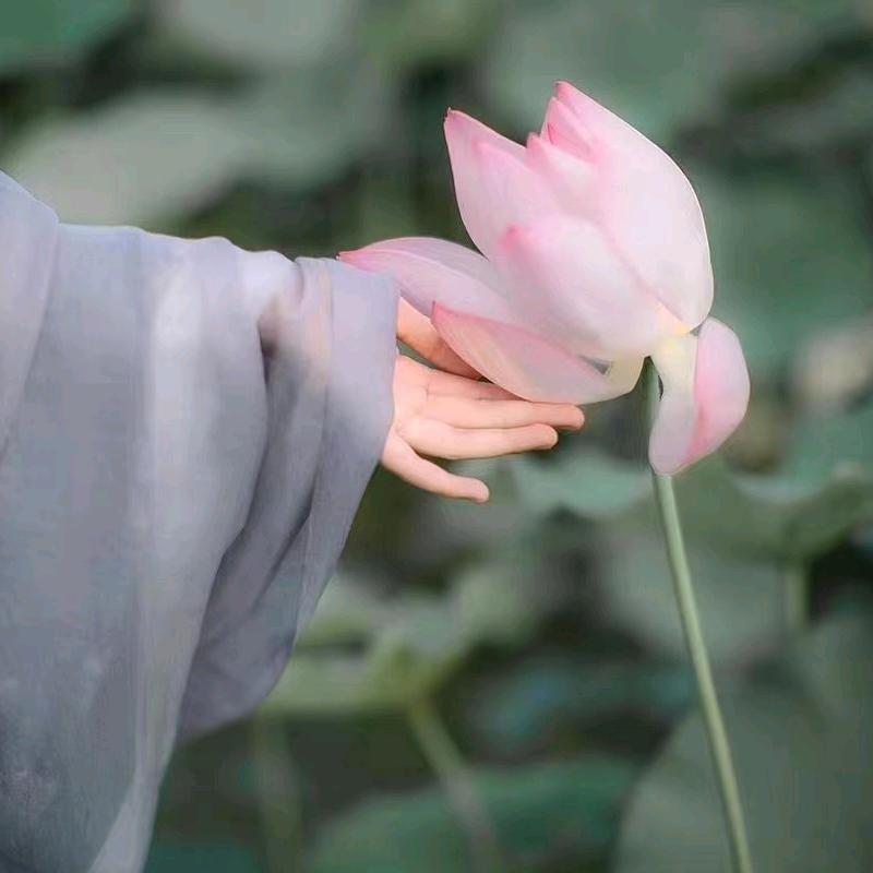 本来就很好🌹红雁