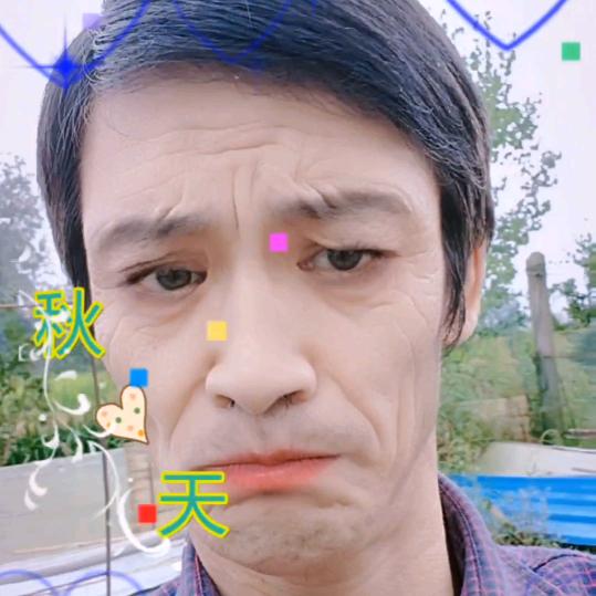 小星星。