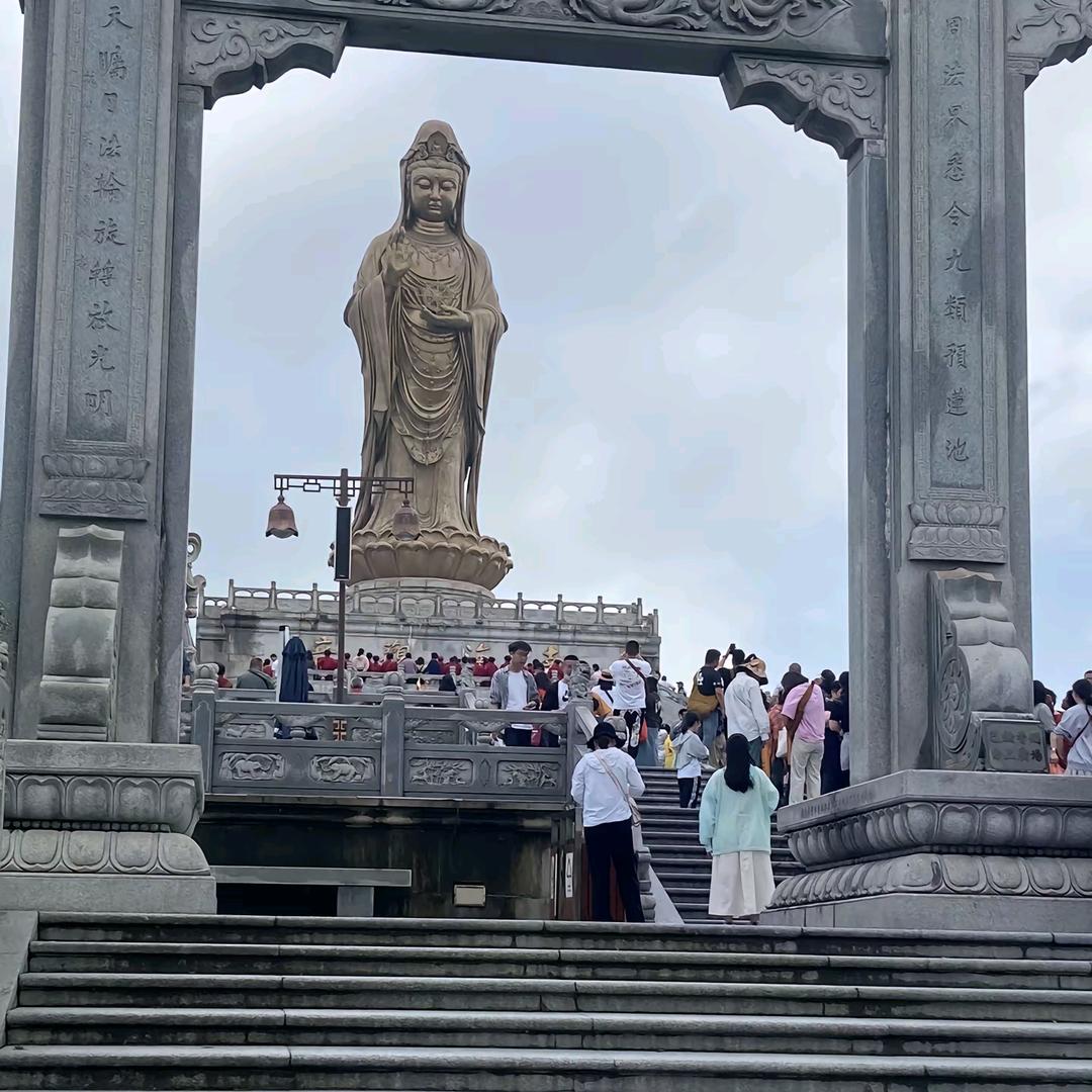 普陀山导游