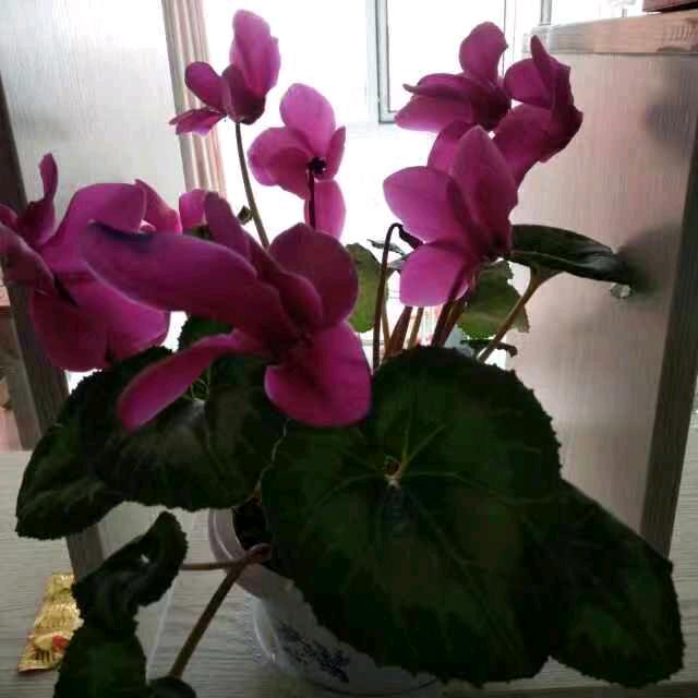 随缘