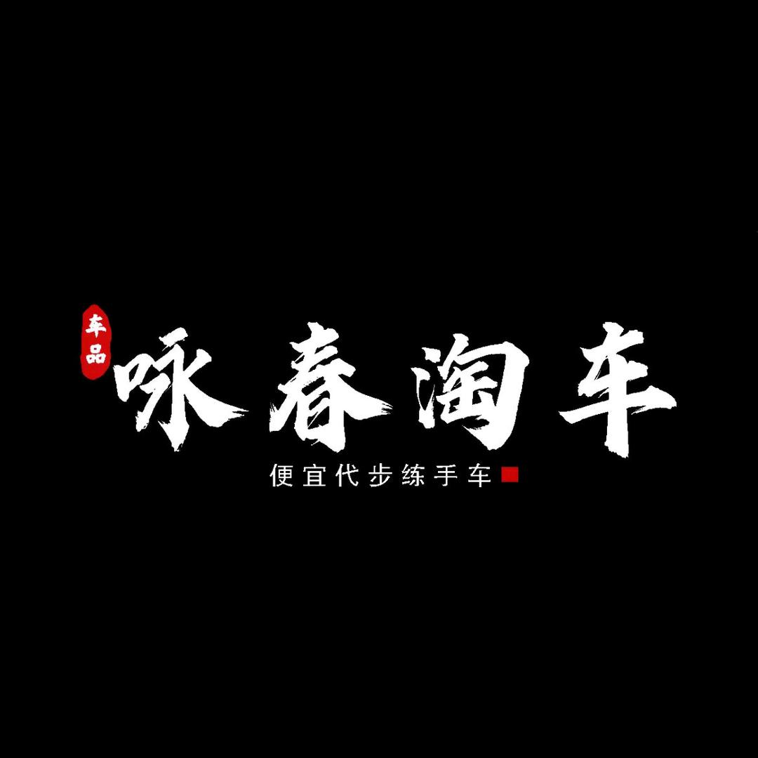 咏春淘车