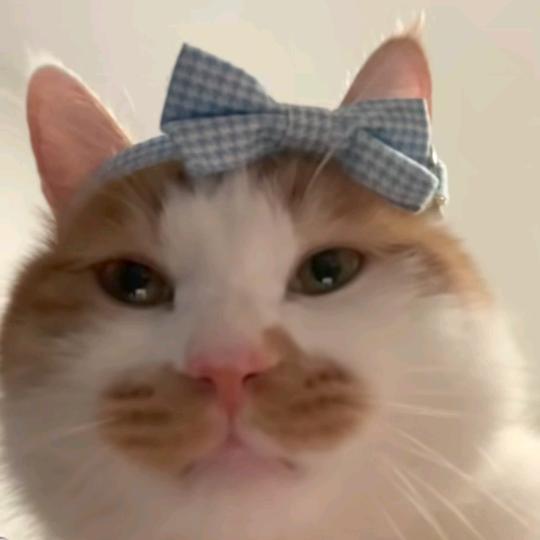 斑斑灼烁瞧在心头