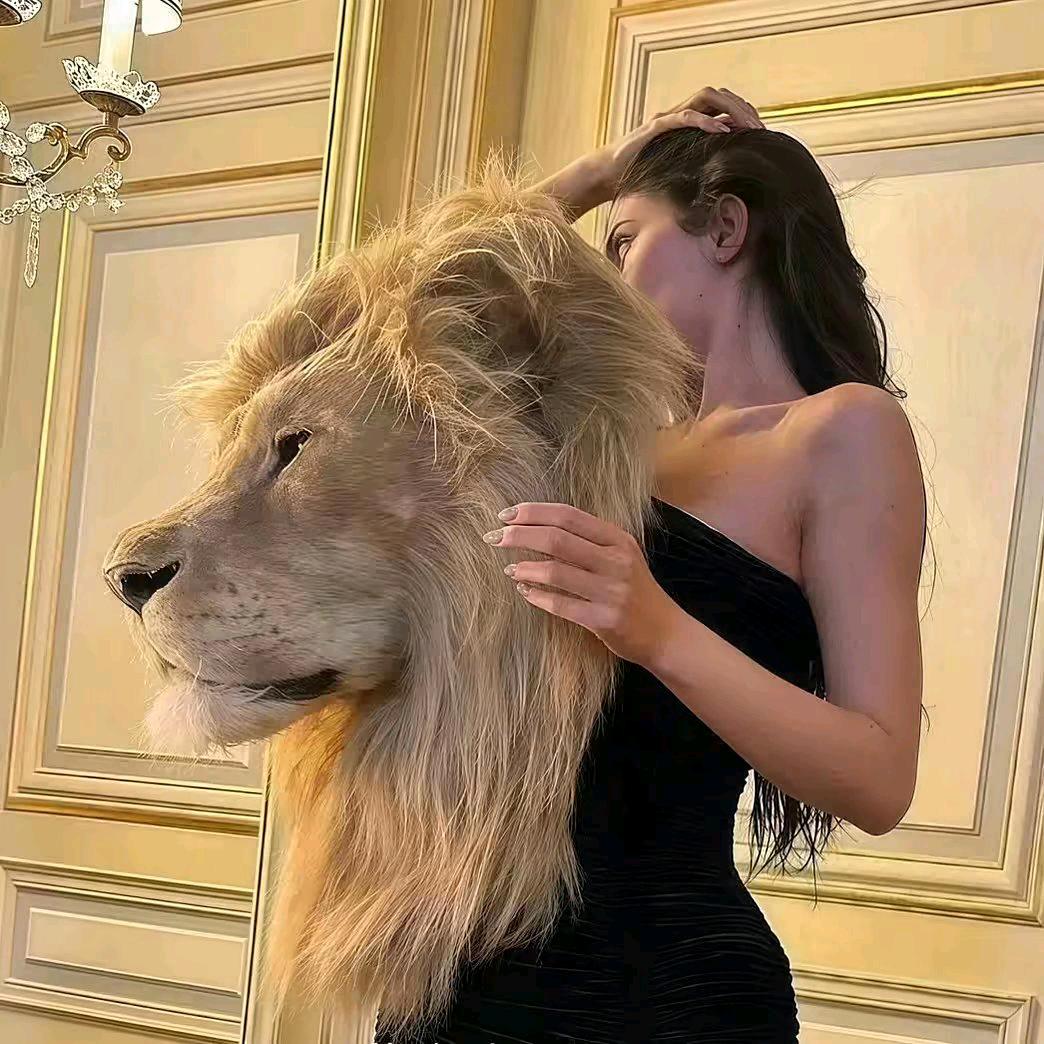 小乖ʳ