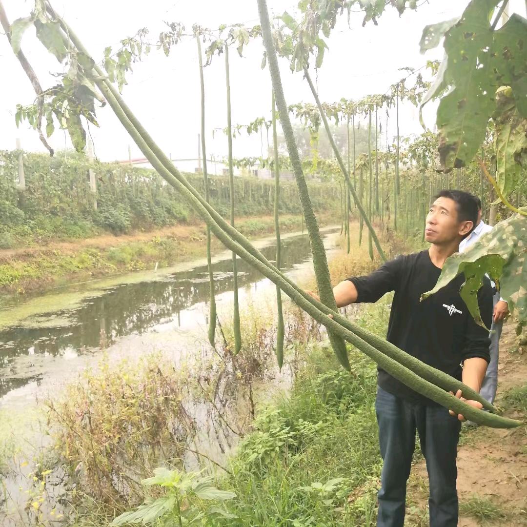 宝丰县洁力家电服务中心