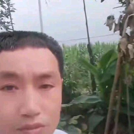 我是老盧其哥