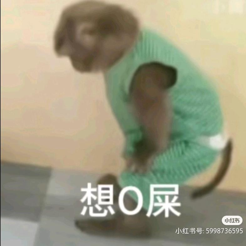 汁薯面煲