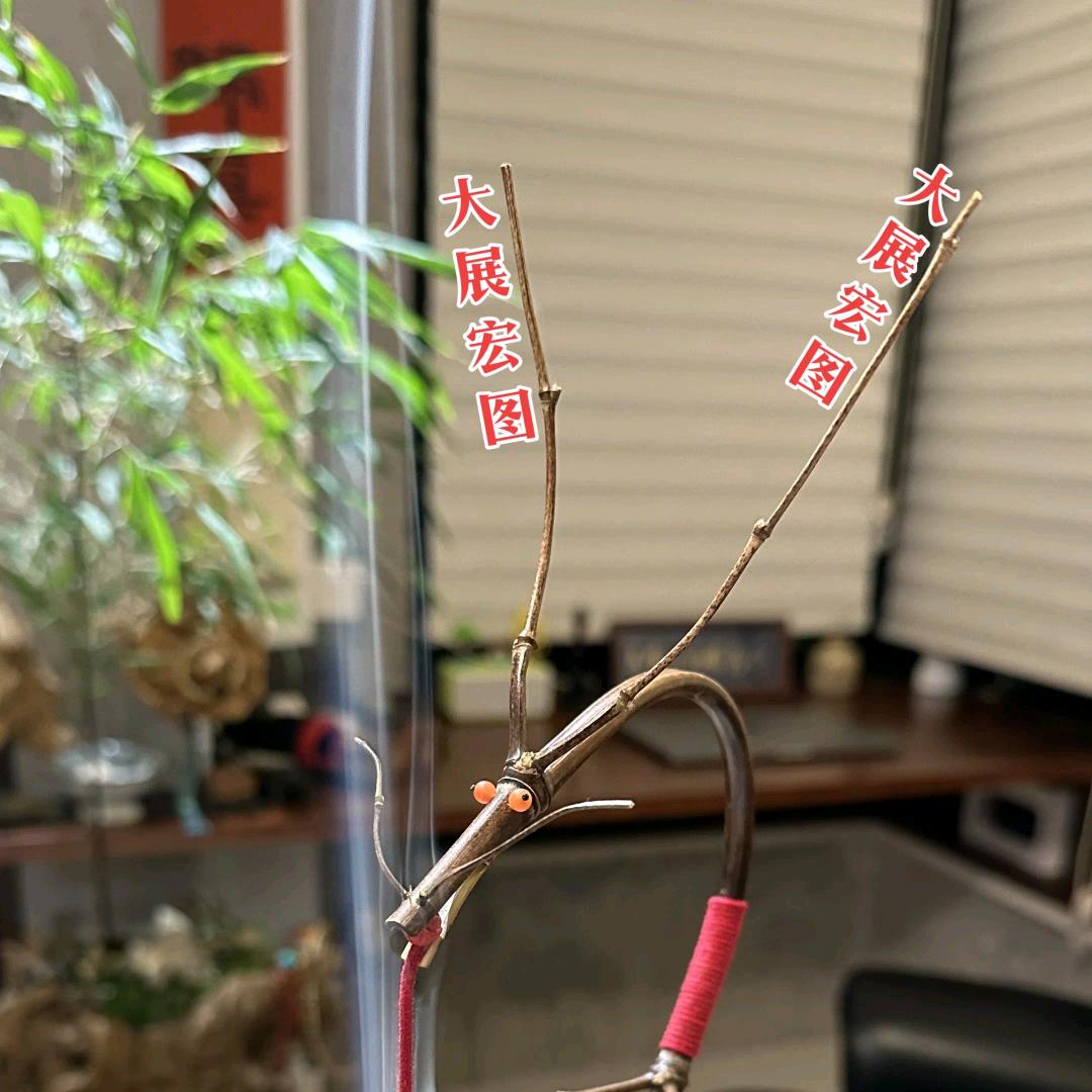 Z—先生