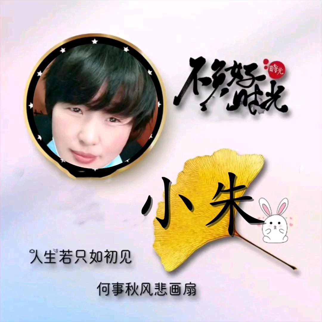 小朱好物优选(橱窗有好物）