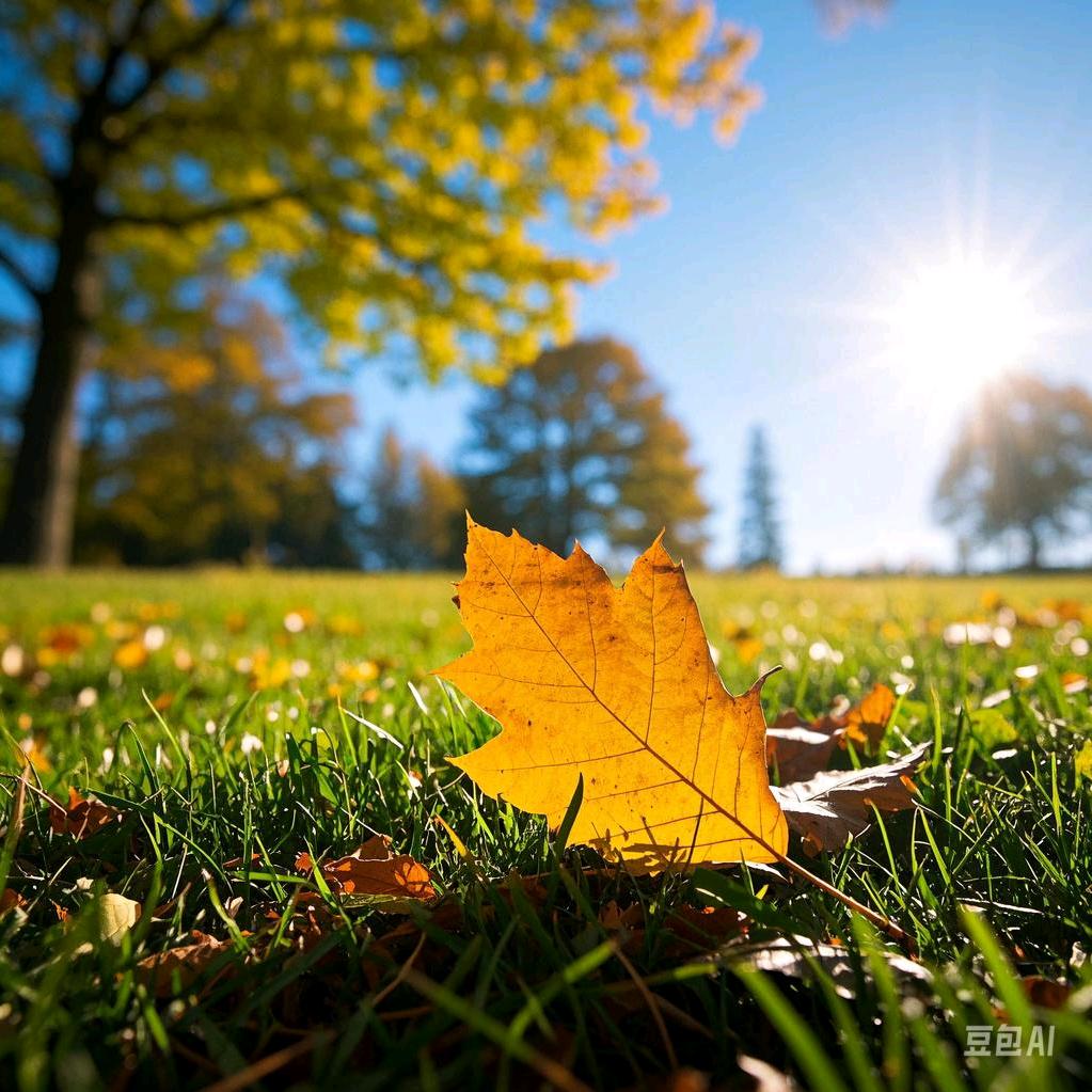 🍁🍁枫叶🍁🍁