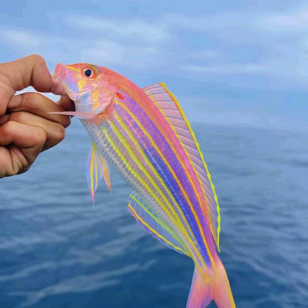 李不韦