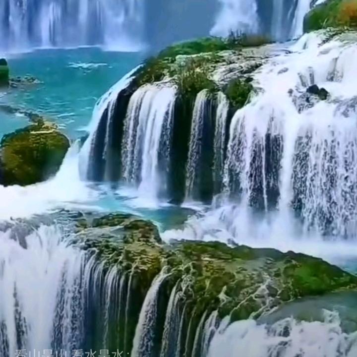 （楊）