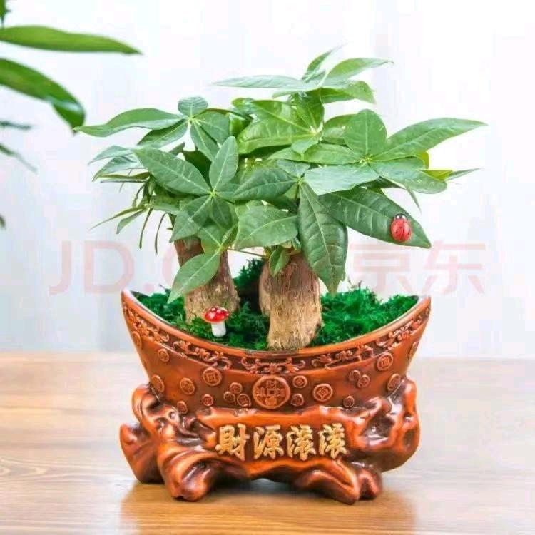 招财一生福