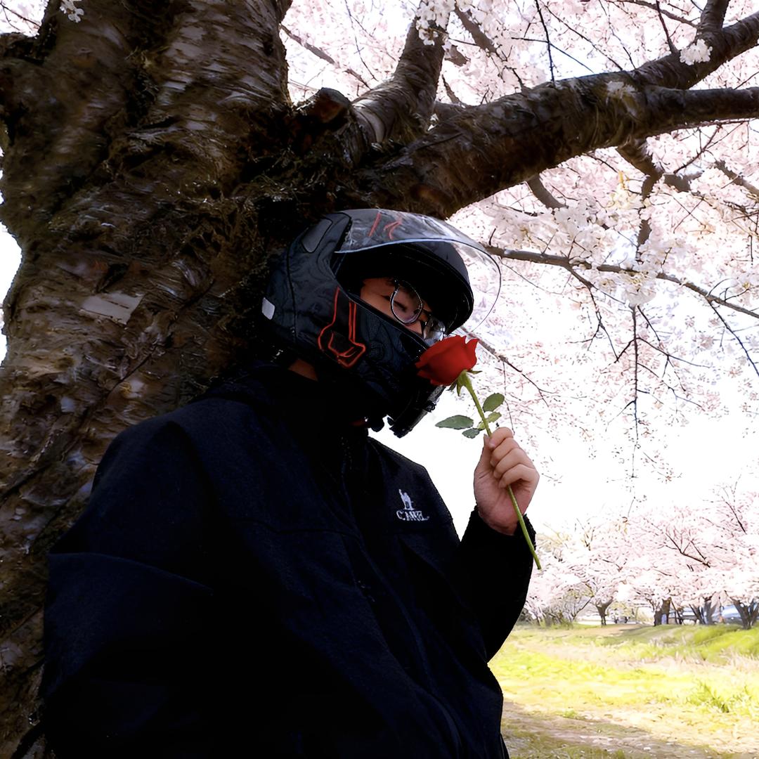 当骑士低头……