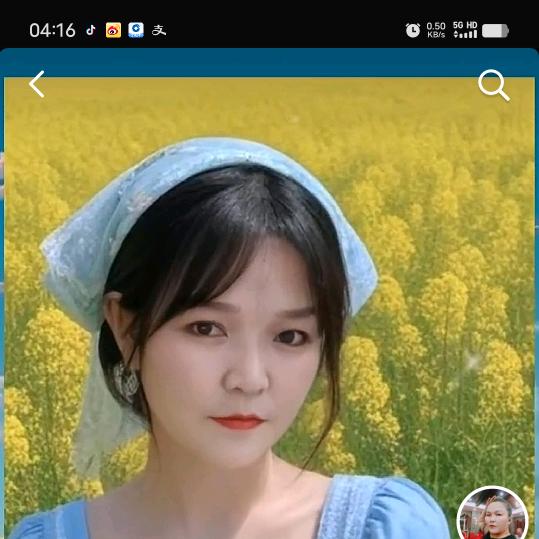 彩红梅花