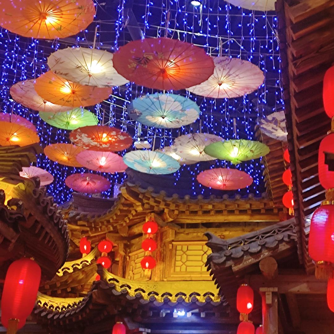 我爱晚风更爱自由