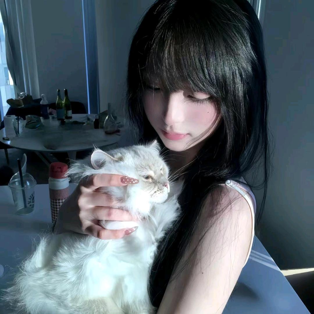 猫猫主人