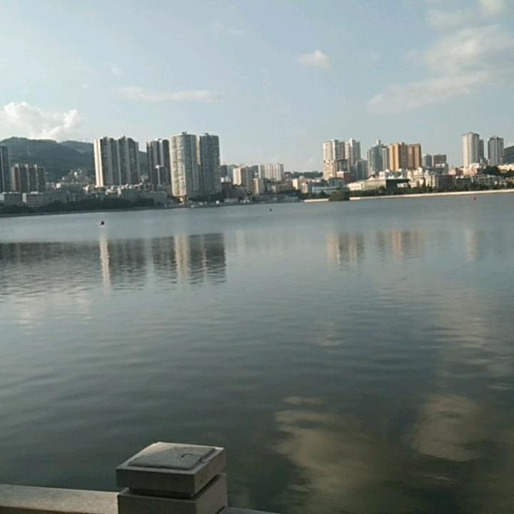猪油雨