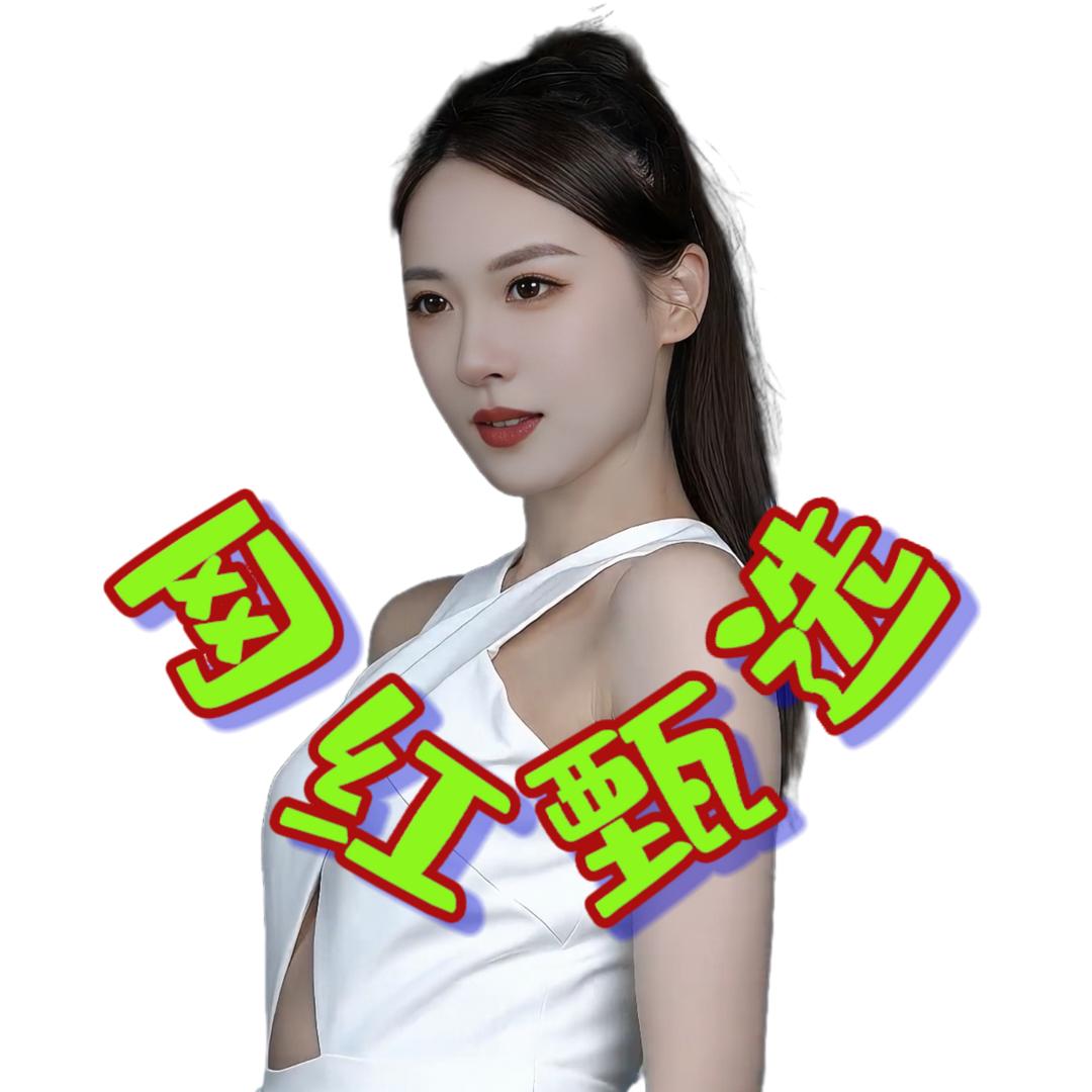 网红甄选