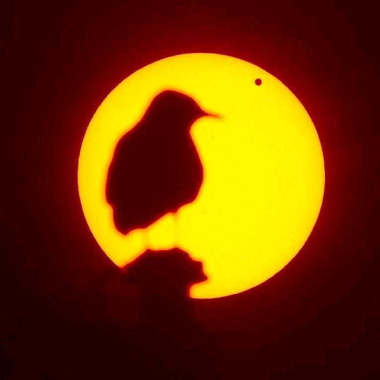 斌