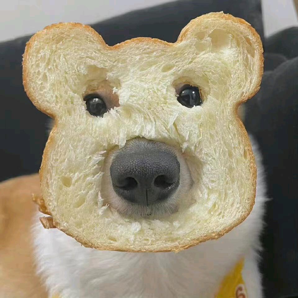 嗯啊！！！
