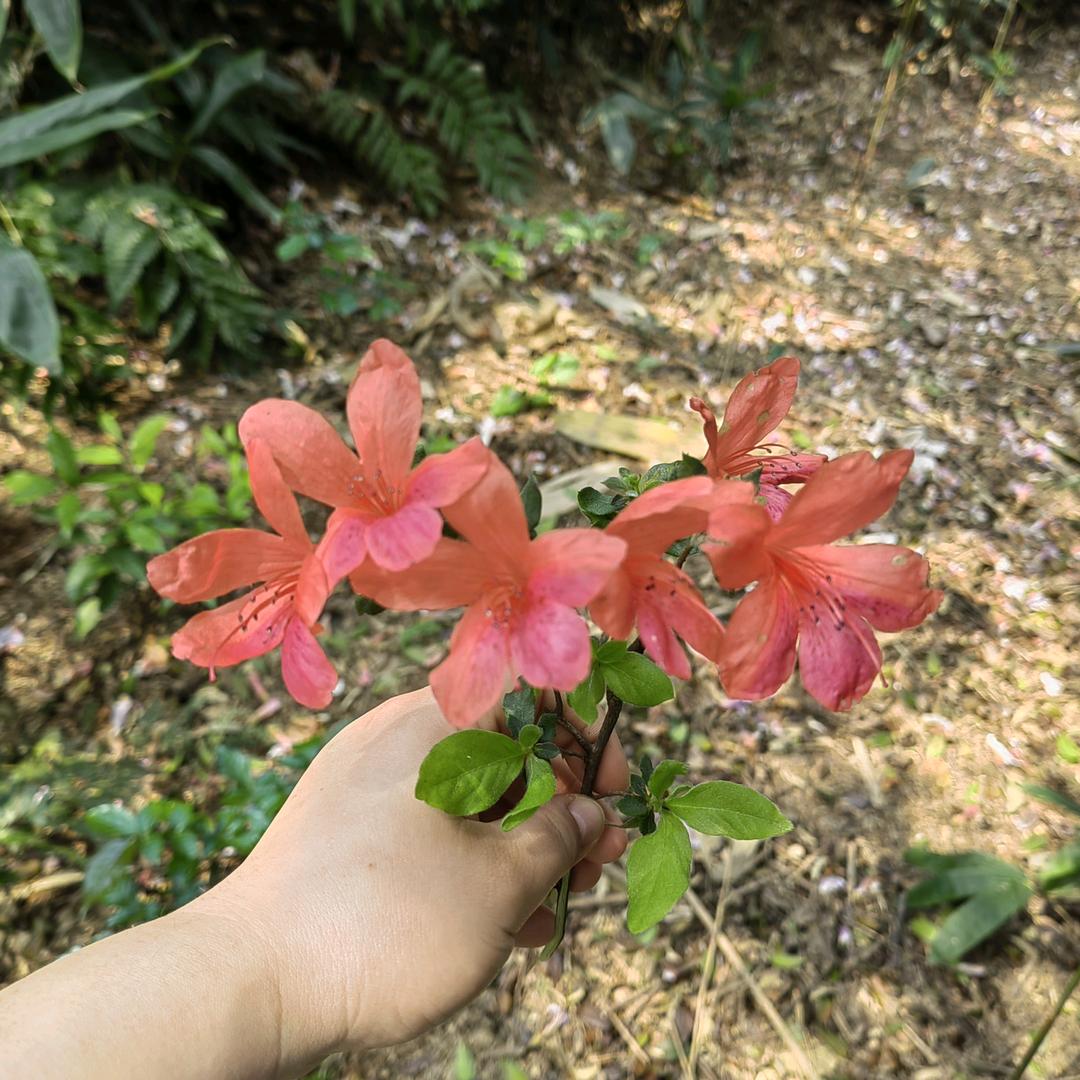 佳慧🌼