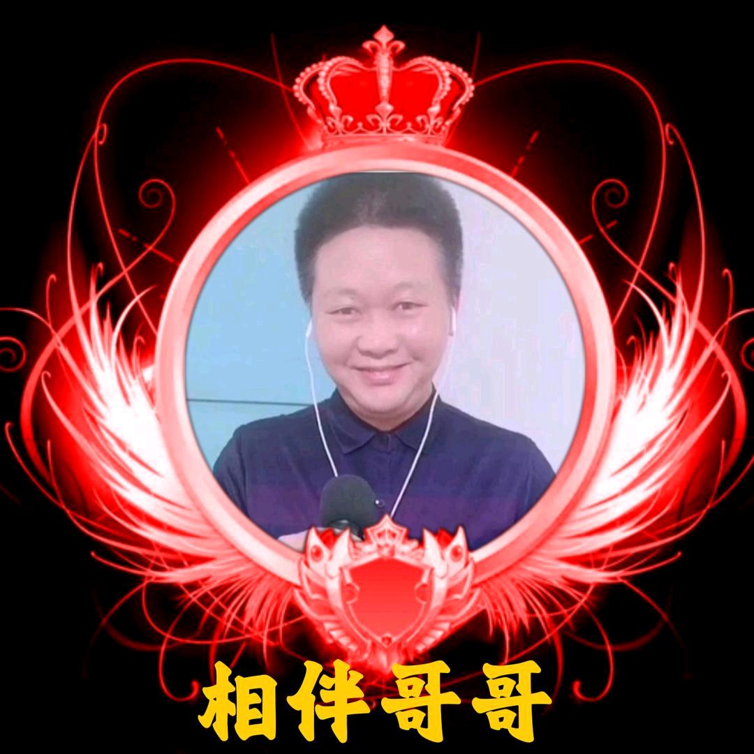 相伴哥哥🎶🎤