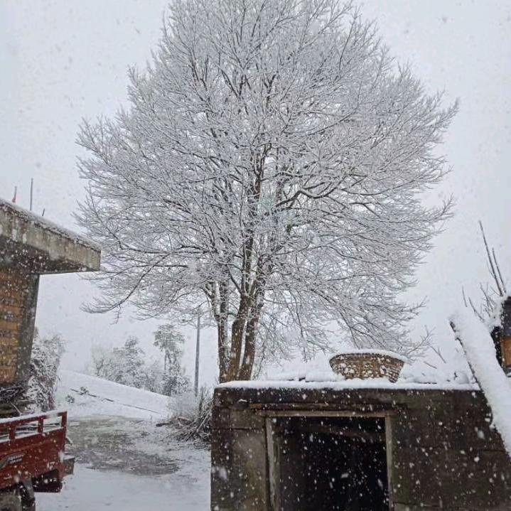 oh﹌半分笑——〆