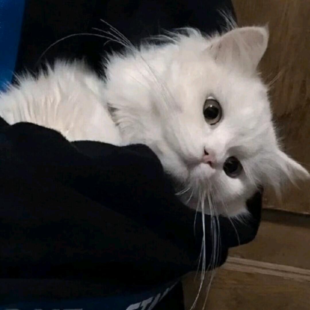 左耳^