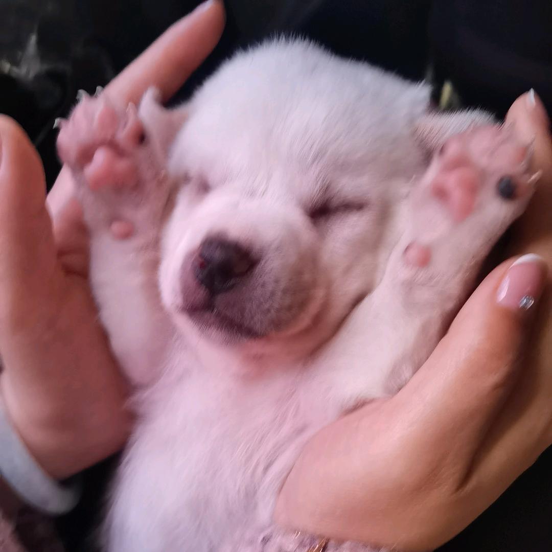 汏䒕姐