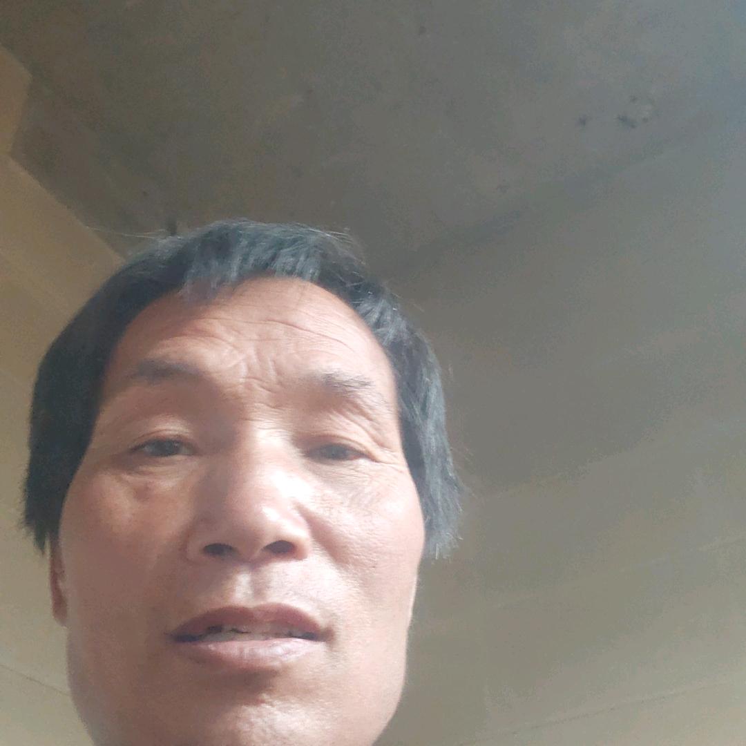 红牛