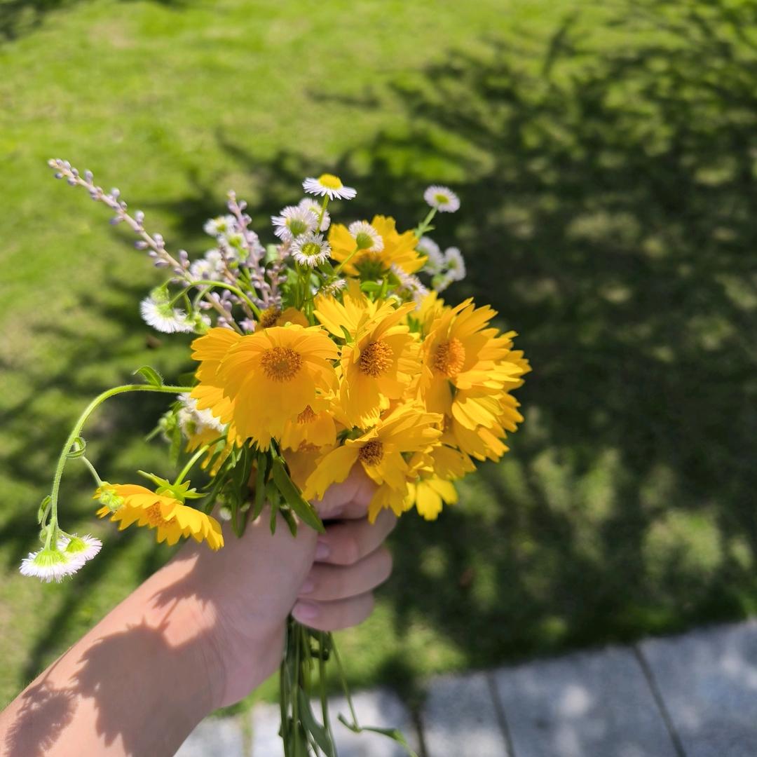 越努力越幸运。