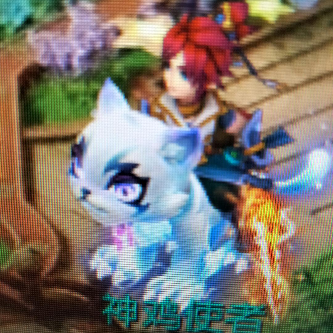 南沙销售号