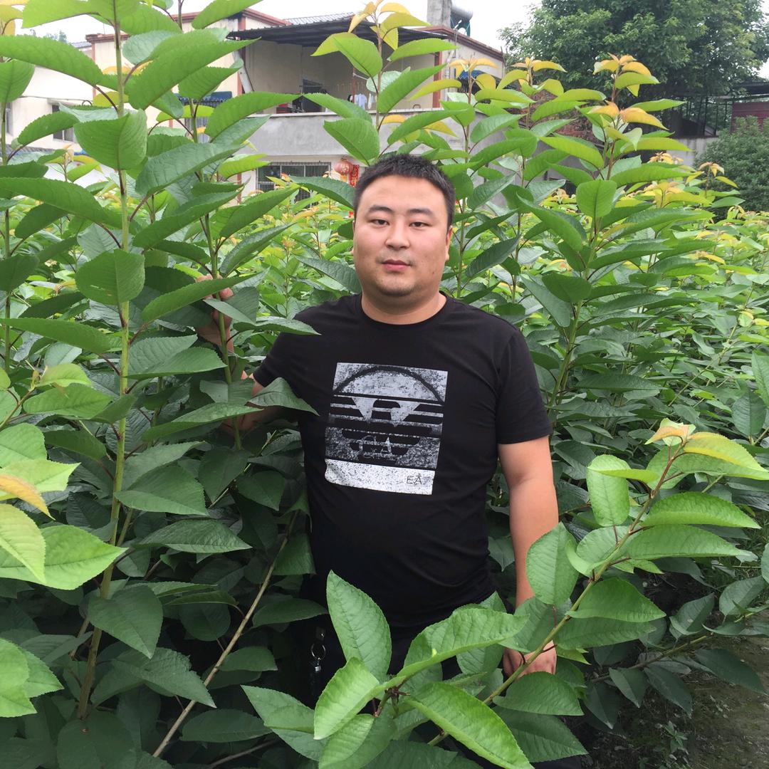 易申果苗基地
