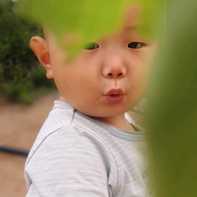 宸宸吖🌺