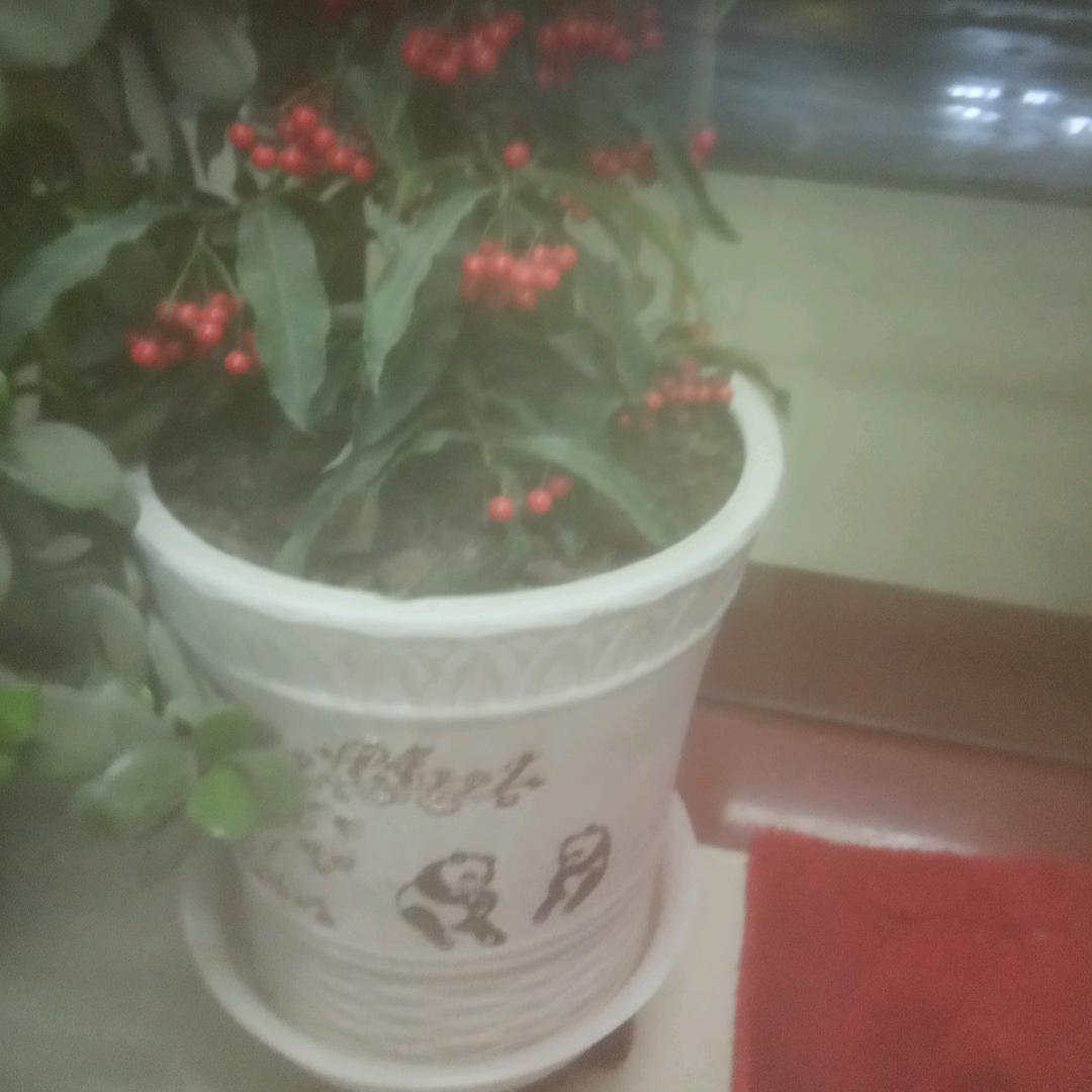 陈桂兰