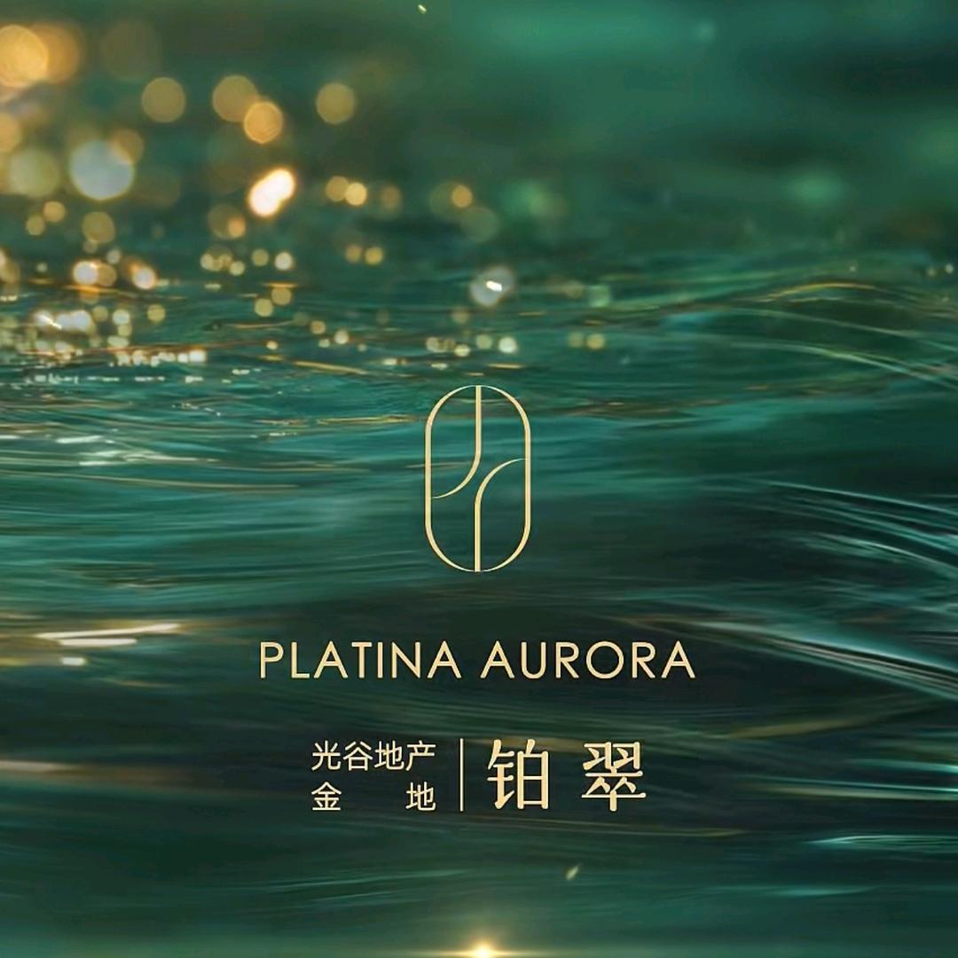 金地铂翠-林潇