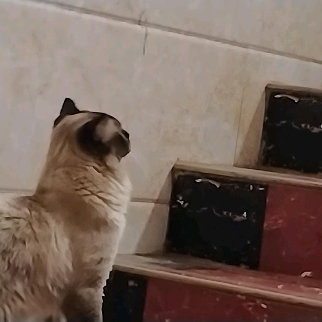 云南大表姐🇨🇳