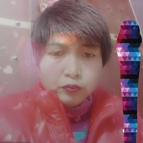 勿忘我勿怪我