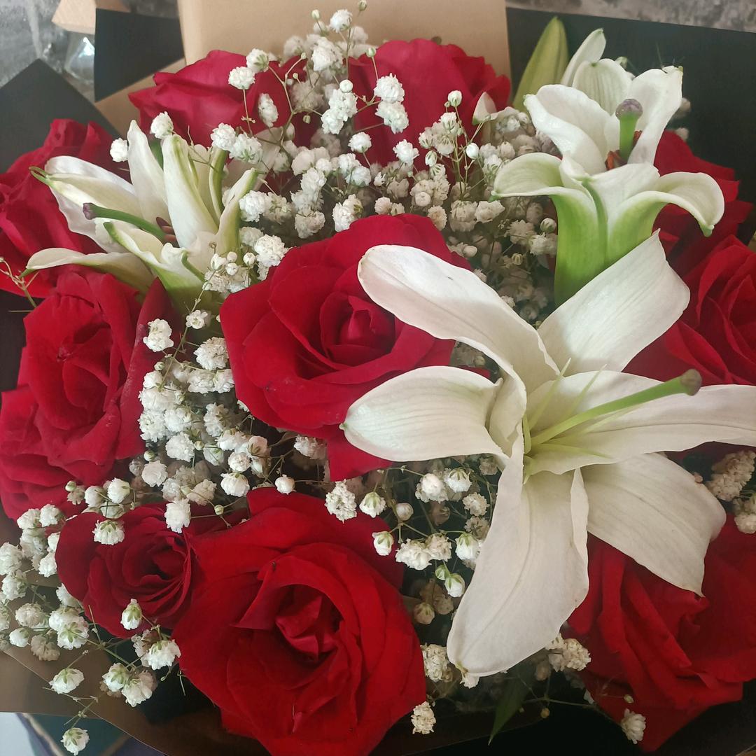 🌲🎄红玫瑰🌹🌹