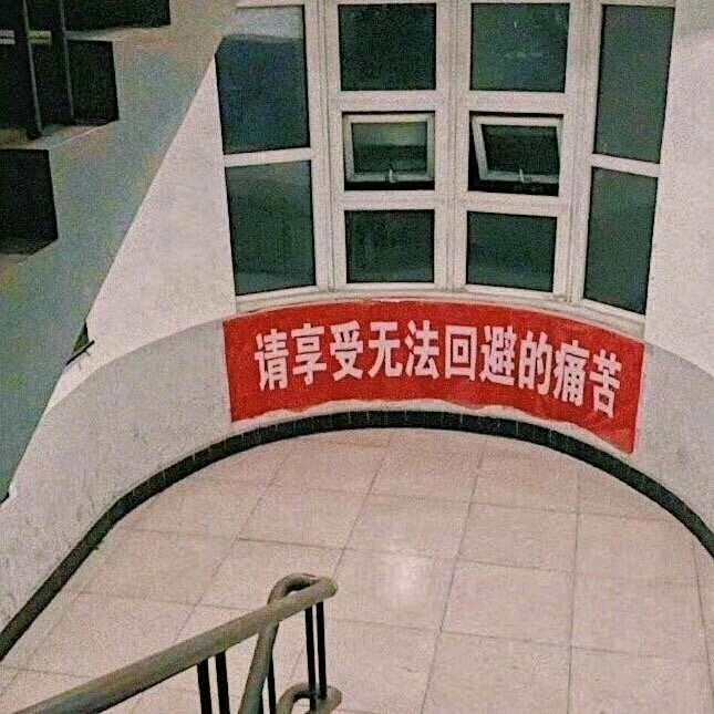 暴雨来临，我将回溯