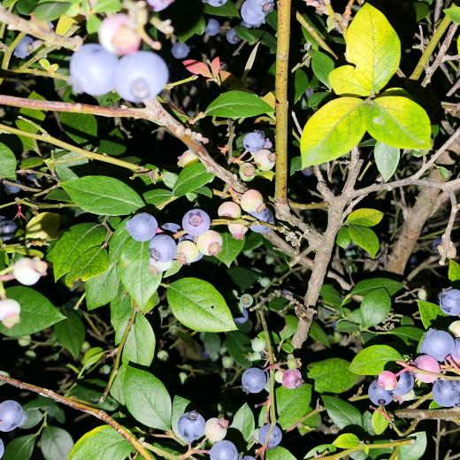 不忘初心🧡⁵²³³