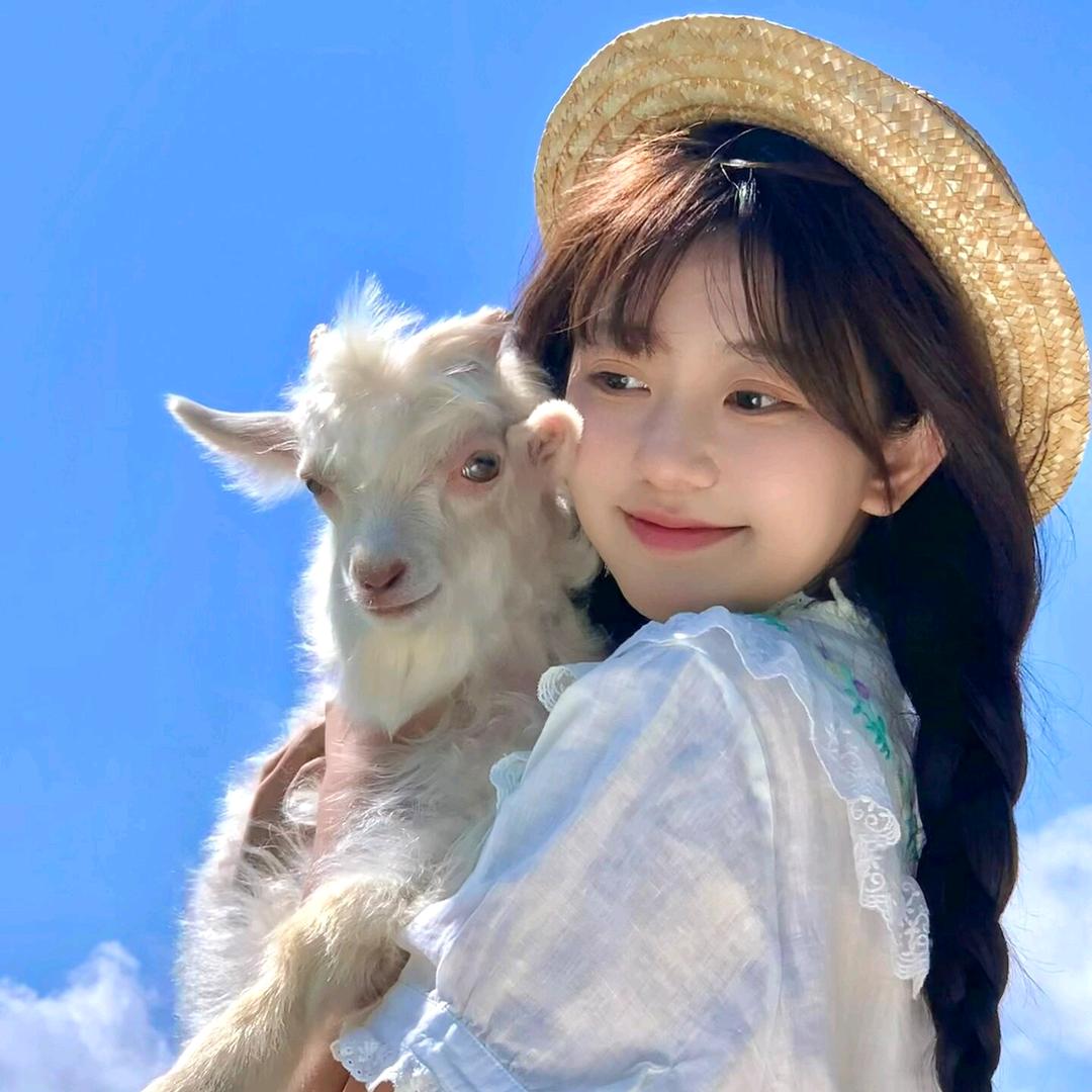 嘟嘟带你逛全城