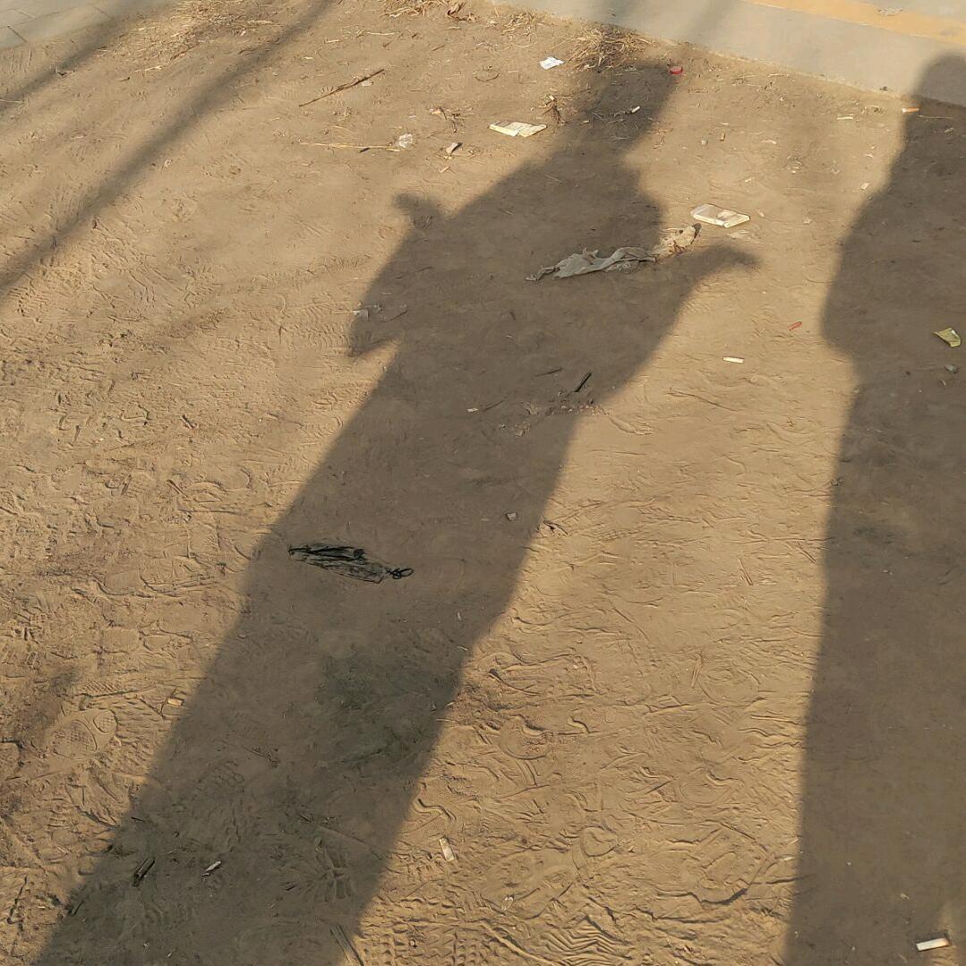 往往会得到