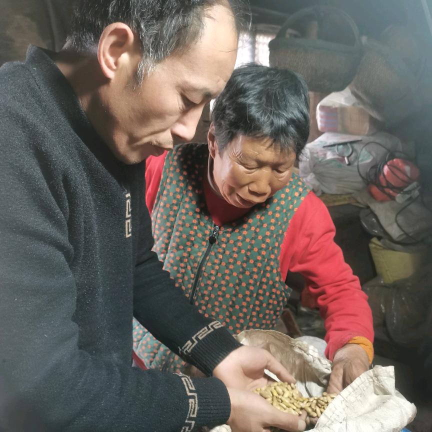 返乡老周 商山君蜂蜜