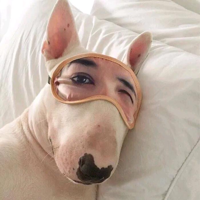 林盾行者