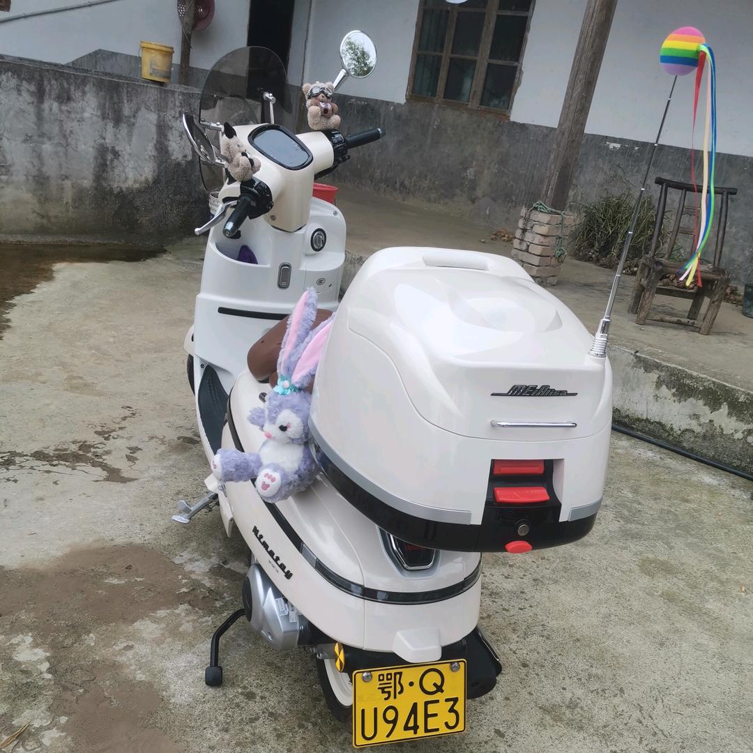 八月桂大号（师傅永远的爱98）7O号